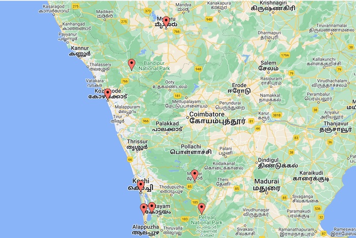 Trésors d’Inde du Sud: plantations de thé, plages et palais